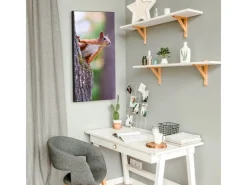 Clearance Banjado Magnettafel 37x78cm Magnetwand Schwarz Aus Metall Magnetpinnwand Pinnwand Inkl. 4 Magnete Motiv Eichhörnchen