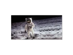 Banjado Magnettafel 78x37cm Magnetwand Silber Aus Metall Magnetpinnwand Pinnwand Inkl. 4 Magnete Motiv Astronaut