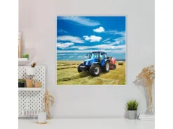 Clearance Banjado Magnettafel 50x50cm Magnetwand Weiß Aus Metall Magnetpinnwand Pinnwand Inkl. 4 Magnete Motiv Traktor