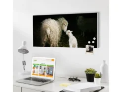 Banjado Magnettafel 78x37cm Magnetwand Weiß Aus Metall Magnetpinnwand Pinnwand Inkl. 4 Magnete Motiv Schaf Und Lamm