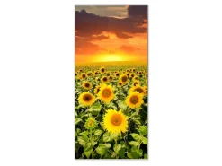 Banjado Magnettafel 37x78cm Magnetwand Silber Aus Metall Magnetpinnwand Pinnwand Inkl. 4 Magnete Motiv Sonnenblumenmeer