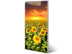 Banjado Magnettafel 37x78cm Magnetwand Silber Aus Metall Magnetpinnwand Pinnwand Inkl. 4 Magnete Motiv Sonnenblumenmeer