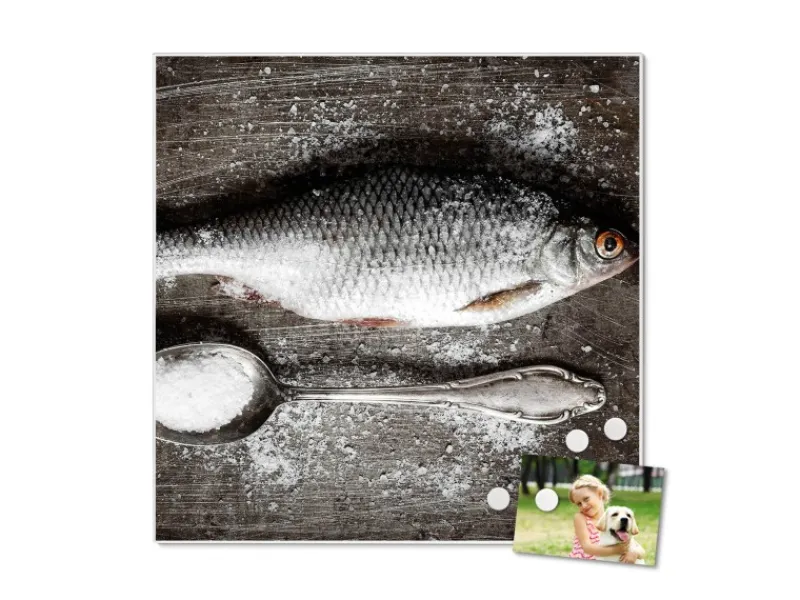 Online Banjado Magnettafel 50x50cm Magnetwand Weiß Aus Metall Magnetpinnwand Pinnwand Inkl. 4 Magnete Motiv Fisch Und Salz