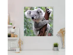 Clearance Banjado Magnettafel 50x50cm Magnetwand Weiß Aus Metall Magnetpinnwand Pinnwand Inkl. 4 Magnete Motiv Koala