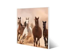 Online Banjado Magnettafel 50x50cm Magnetwand Weiß Aus Metall Magnetpinnwand Pinnwand Inkl. 4 Magnete Motiv Mongolische Stimmung