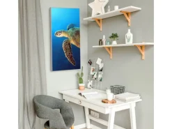 Banjado Magnettafel 37x78cm Magnetwand Silber Aus Metall Magnetpinnwand Pinnwand Inkl. 4 Magnete Motiv Wasserschildkröte