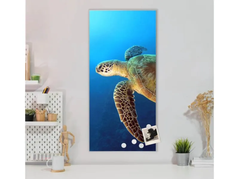 Banjado Magnettafel 37x78cm Magnetwand Silber Aus Metall Magnetpinnwand Pinnwand Inkl. 4 Magnete Motiv Wasserschildkröte