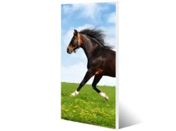 Banjado Magnettafel 37x78cm Magnetwand Weiß Aus Metall Magnetpinnwand Pinnwand Inkl. 4 Magnete Motiv Pferd