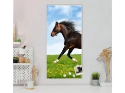 Banjado Magnettafel 37x78cm Magnetwand Weiß Aus Metall Magnetpinnwand Pinnwand Inkl. 4 Magnete Motiv Pferd