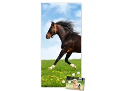 Banjado Magnettafel 37x78cm Magnetwand Weiß Aus Metall Magnetpinnwand Pinnwand Inkl. 4 Magnete Motiv Pferd