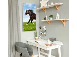Banjado Magnettafel 37x78cm Magnetwand Weiß Aus Metall Magnetpinnwand Pinnwand Inkl. 4 Magnete Motiv Pferd
