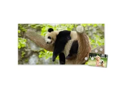 Hot Banjado Magnettafel 78x37cm Magnetwand Weiß Aus Metall Magnetpinnwand Pinnwand Inkl. 4 Magnete Motiv Panda