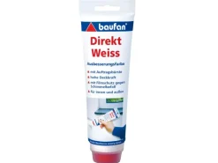 Outlet Baufan Direkt-Weiss Ausbesserungsfarbe 250 g
