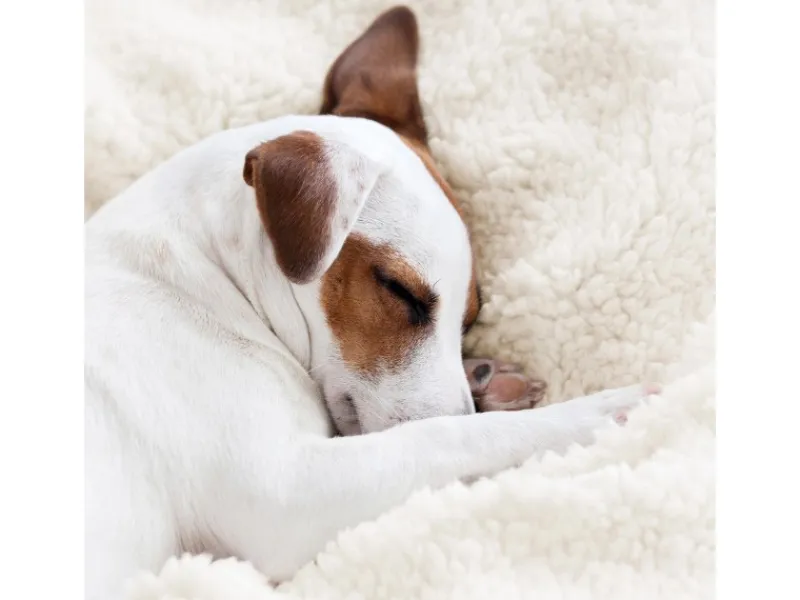 New Beautissu Alina Decke 150x200cm Beige/Weiß