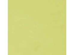 Hot Bestlivings Kissenhülle Ellen 30 x 50 cm Grün