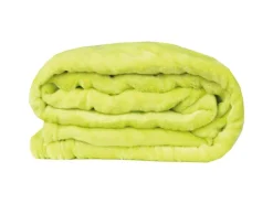 Bestlivings Kuscheldecke Celina 2er Pack 80 x 120 cm Grün