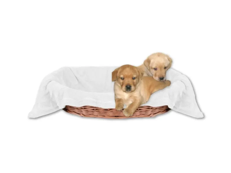 Discount Bestlivings Tierdecke Hundedecke Mikrofaser 70 x 100 cm Weiß