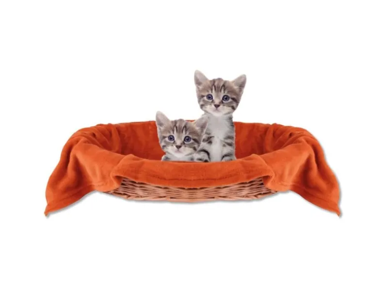 Bestlivings Tierdecke Katzendecke Mikrofaser 80 x 120 cm Terracotta