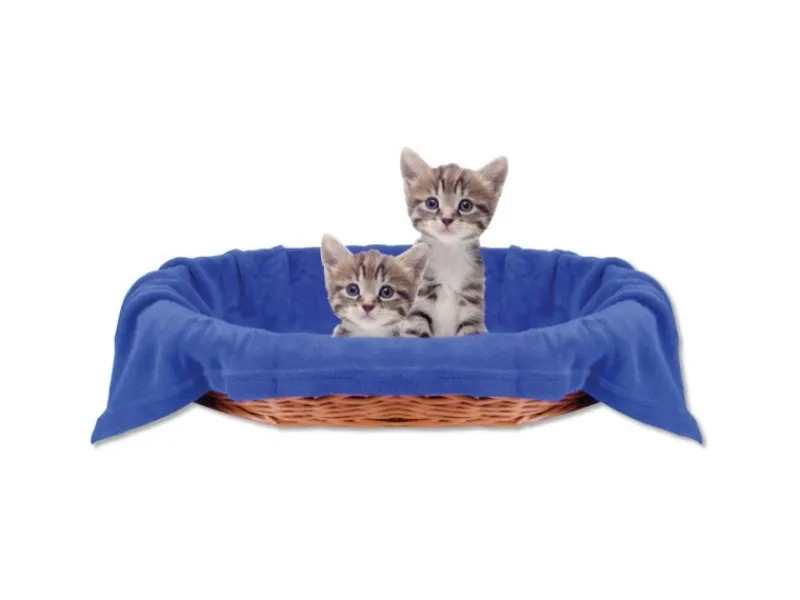 Bestlivings Tierdecke Katzendecke Mikrofaser 70 x 100 cm Blau