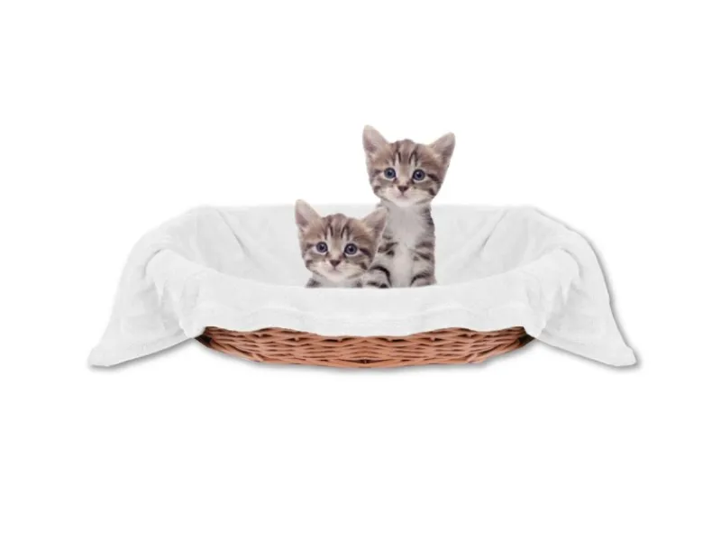 Bestlivings Tierdecke Katzendecke Mikrofaser 70 x 100 cm Weiß