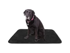 Best Bestlivings Tierdecke Lammflor 70 x 100 cm Schwarz