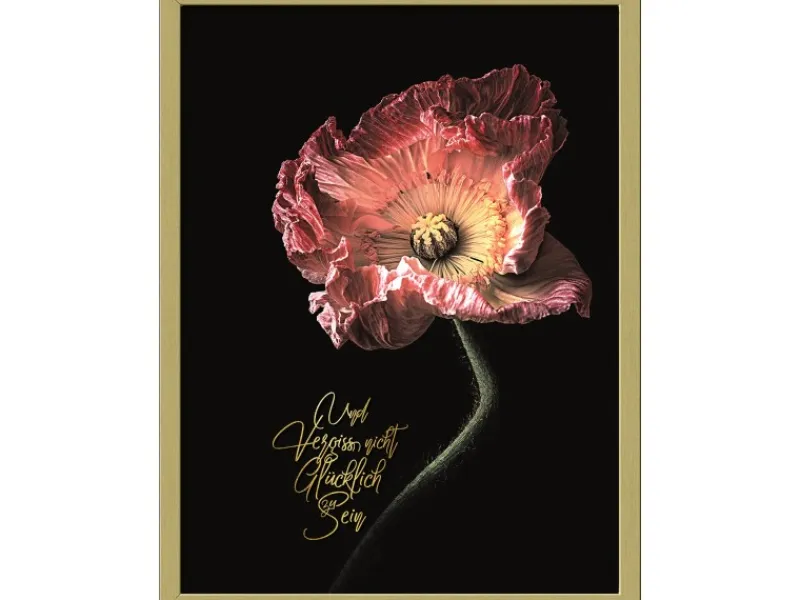 Best Pro Art Bild mit Rahmen Anonymus Beautiful & Gold IV 42,5 cm x 32,5 cm