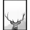 Sale Pro Art Bild mit Rahmen Anonymus Grey Deer Head III 42,5 cm x 32,5 cm
