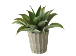 Boltze Topfpflanze Aloe Vera 2-fach Sortiert 50 cm x 15 cm x 50 cm Grün