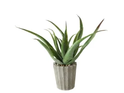 Boltze Topfpflanze Aloe Vera 2-fach Sortiert 50 cm x 15 cm x 50 cm Grün