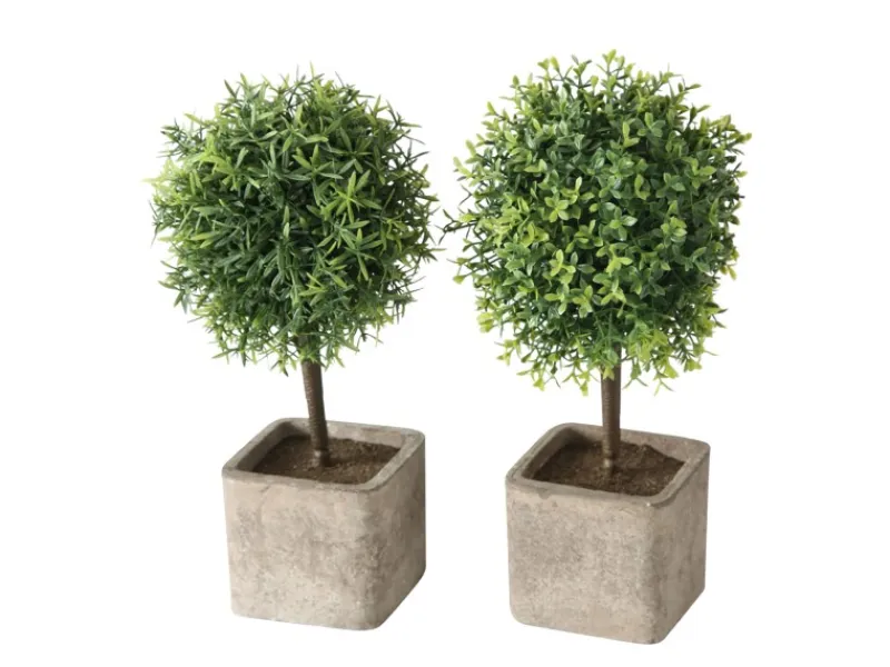 Boltze Topfpflanze Amos 2-fach Sortiert 26 cm x 12 cm x 26 cm Grün