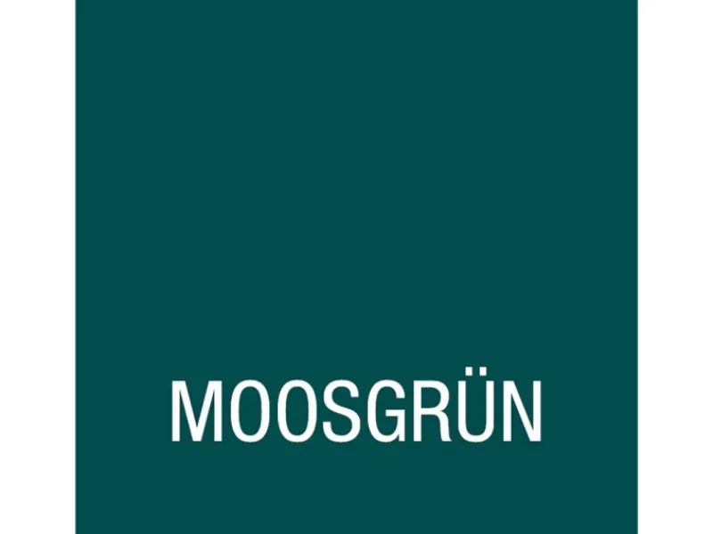 BONDEX Dauerschutz-Farbe seidenglänzend 2,5 l