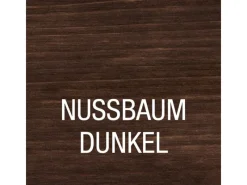 BONDEX Holzbeize 250 ml