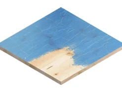 Discount Bosch Expert Schleifblatt C470 100 mm x 150 mm K60 10 Stück