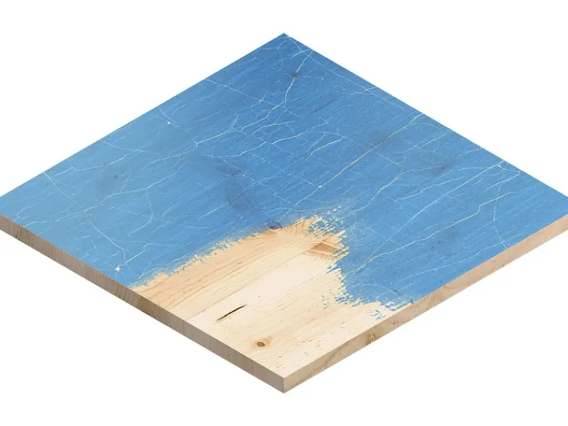 Discount Bosch Expert Schleifblatt C470 100 mm x 150 mm K60 10 Stück