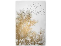 Discount Bricoflor Baumkronen Bild Gold Weiß Leinwandbild Mit Vögeln In Baum Romantisches Wandbild Ideal Für Schlafzimmer Und Flur 60 X 90