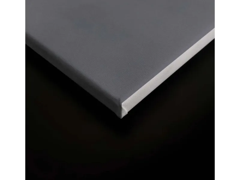 Discount Bricoflor Bild Wald In Nebel Romantisch Leinwandbild See Und Nebel 120 X 80 Cm Leinwand Mit Landschaft Groß Für Schlafzimmer