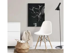 Bricoflor Hirsch Bild Mit Hase Schwarz Weiß Bild Auf Leinwand Mit Tier Motiv Im Winter Look Besonderes Wandbild Ideal Für Wohnzimmer Und Schlafzimmer