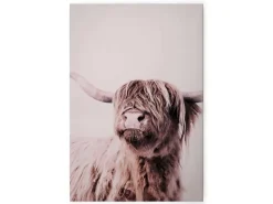 Sale Bricoflor Hochlandrind Leinwandbild Deko Wandbild Mit Tier Weiß Beige Für Esszimmer Und Küche 80 X 120 Cm Ochsen Bild Landhausstil