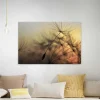 Bricoflor Leinwand Mit Pusteblume In Grau Gold Natur Wandbild Mit Sonnenuntergang Ideal Für Schlafzimmer Und Flur Canvas Bild Auf Keilrahmen