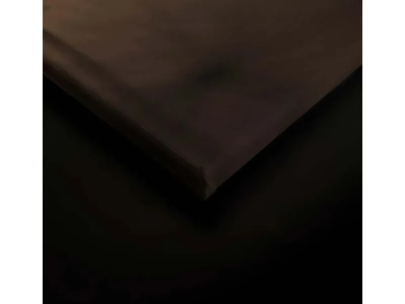 Bricoflor Leinwand Mit Pusteblume In Grau Gold Natur Wandbild Mit Sonnenuntergang Ideal Für Schlafzimmer Und Flur Canvas Bild Auf Keilrahmen