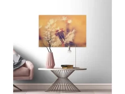 Bricoflor Sommer Leinwand Mit Pusteblume Flur Und Schlafzimmer Wandbild In Orange Und Braun Canvas Leinwand Im Querformat Auf Keilrahmen