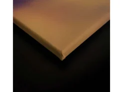 Bricoflor Sommer Leinwand Mit Pusteblume Flur Und Schlafzimmer Wandbild In Orange Und Braun Canvas Leinwand Im Querformat Auf Keilrahmen