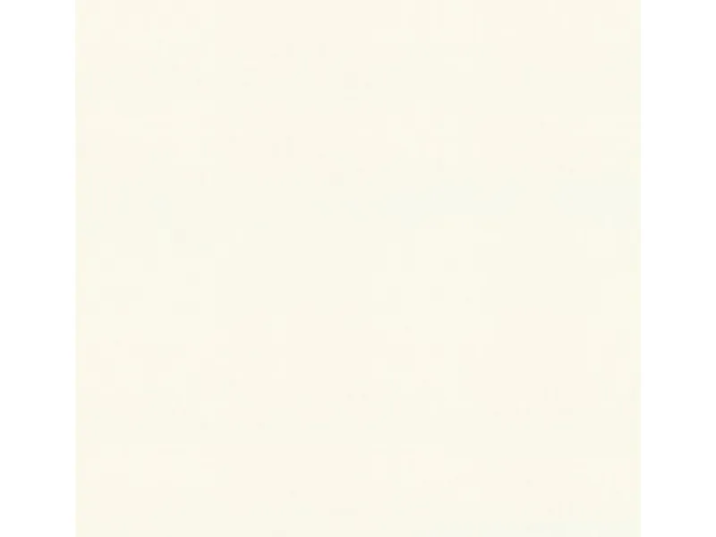 Bricoflor Uni Tapete Hell Weiße Vliestapete Einfarbig zum überstreichen Wohnzimmer und Schlafzimmer Wandtapete mit Vinyl überstreichbar