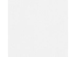 Discount Bricoflor Weiße Tapete zum überstreichen Uni Vliestapete mit Vinyl überstreichbar für Küche und Badezimmer Einfarbige Vlies Wandtapete Dezent