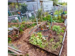 CCLIFE Hühnerzaun Geflügelnetz 25mm Maschenweite 100cm Höhe 25m Länge PVC-Beschichtet