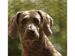 CCLIFE Hühnerzaun Geflügelnetz 45mm Maschenweite 100cm Höhe 15m Länge PVC-Beschichtet