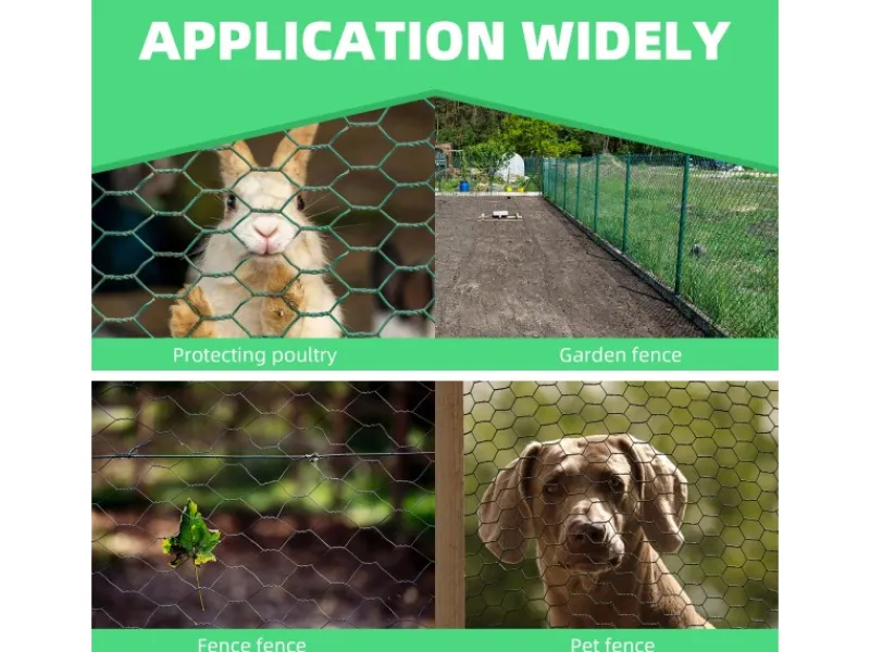 CCLIFE Hühnerzaun Geflügelnetz 45mm Maschenweite 100cm Höhe 50m Länge PVC-Beschichtet