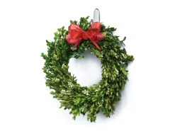 Outlet Command Haken-Set Mittelgroß Transparent 6 Stück