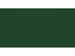 New Consolan Wetterschutzfarbe seidenglänzend 750 ml Moosgrün