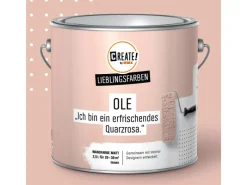 CREATE! by OBI Lieblingsfarben Wandfarbe Ole matt 2,5 l